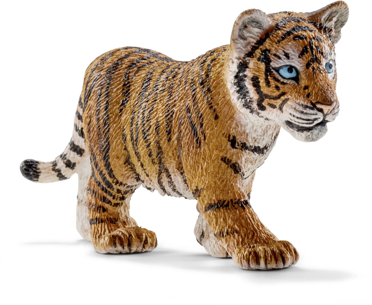 Tiger cub