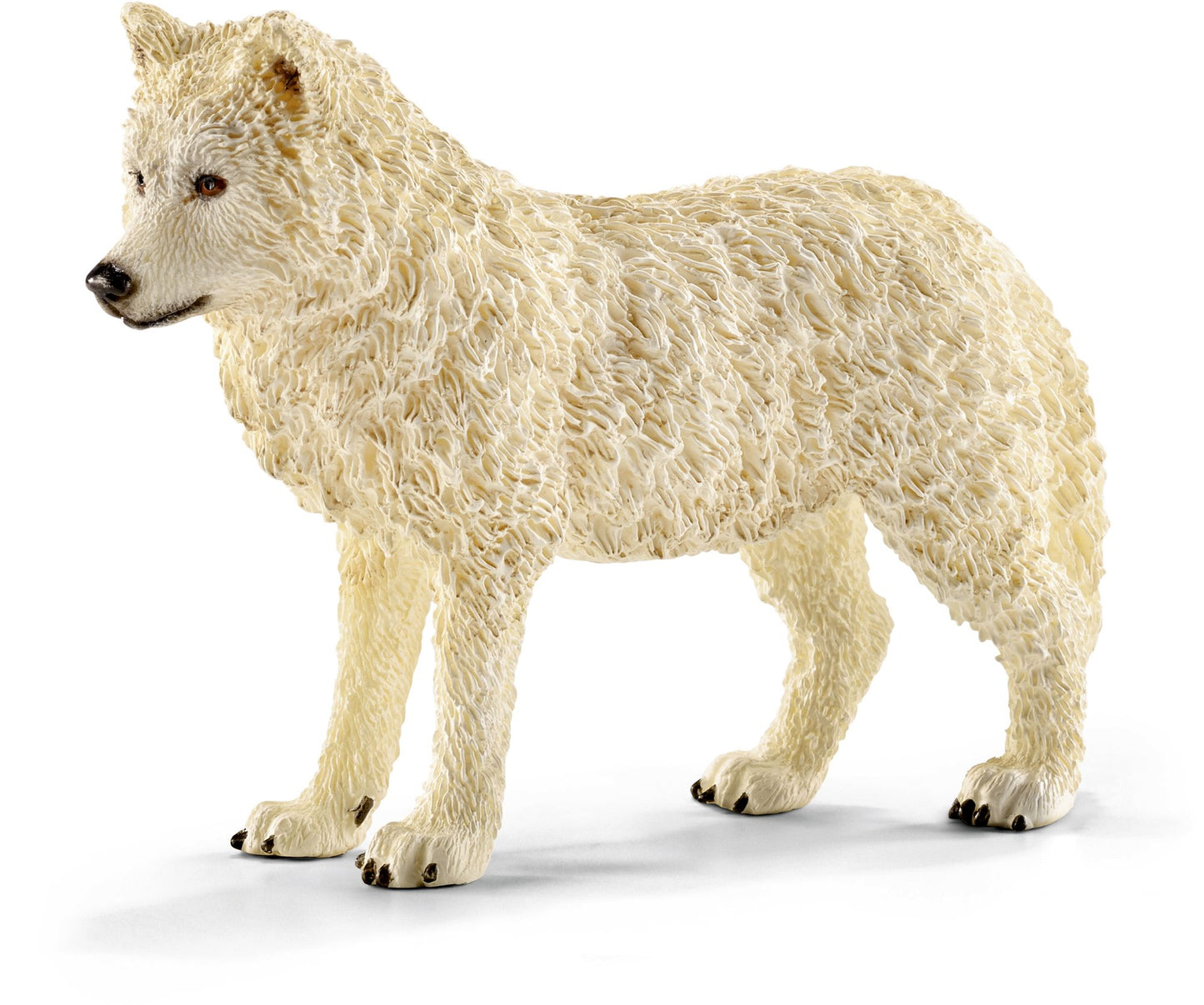Arctic wolf