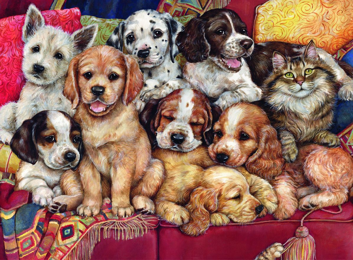 Nothing to See Here 500 pc puzzle