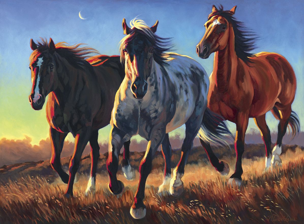 Blue Roan Ridge Horses 500 pc puzzle