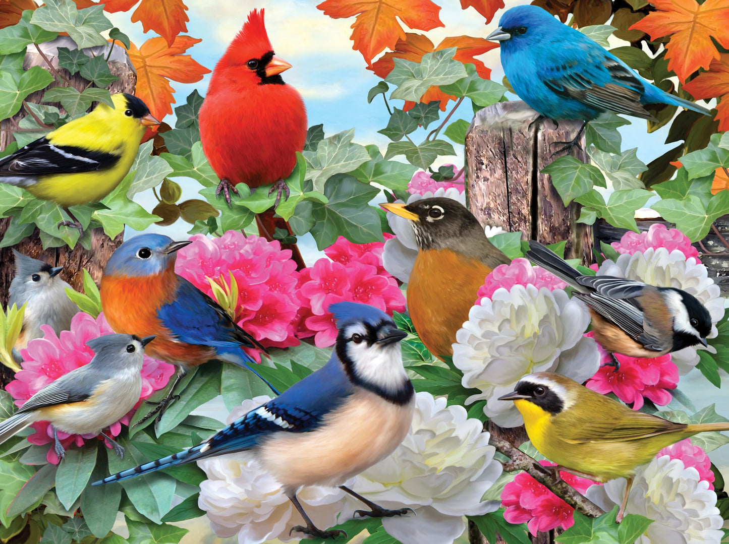 Garden Birds 500 Piece puzzle