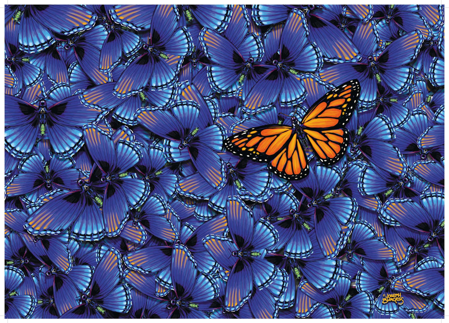 Butterfly 1000 pc. puzzle Challenge