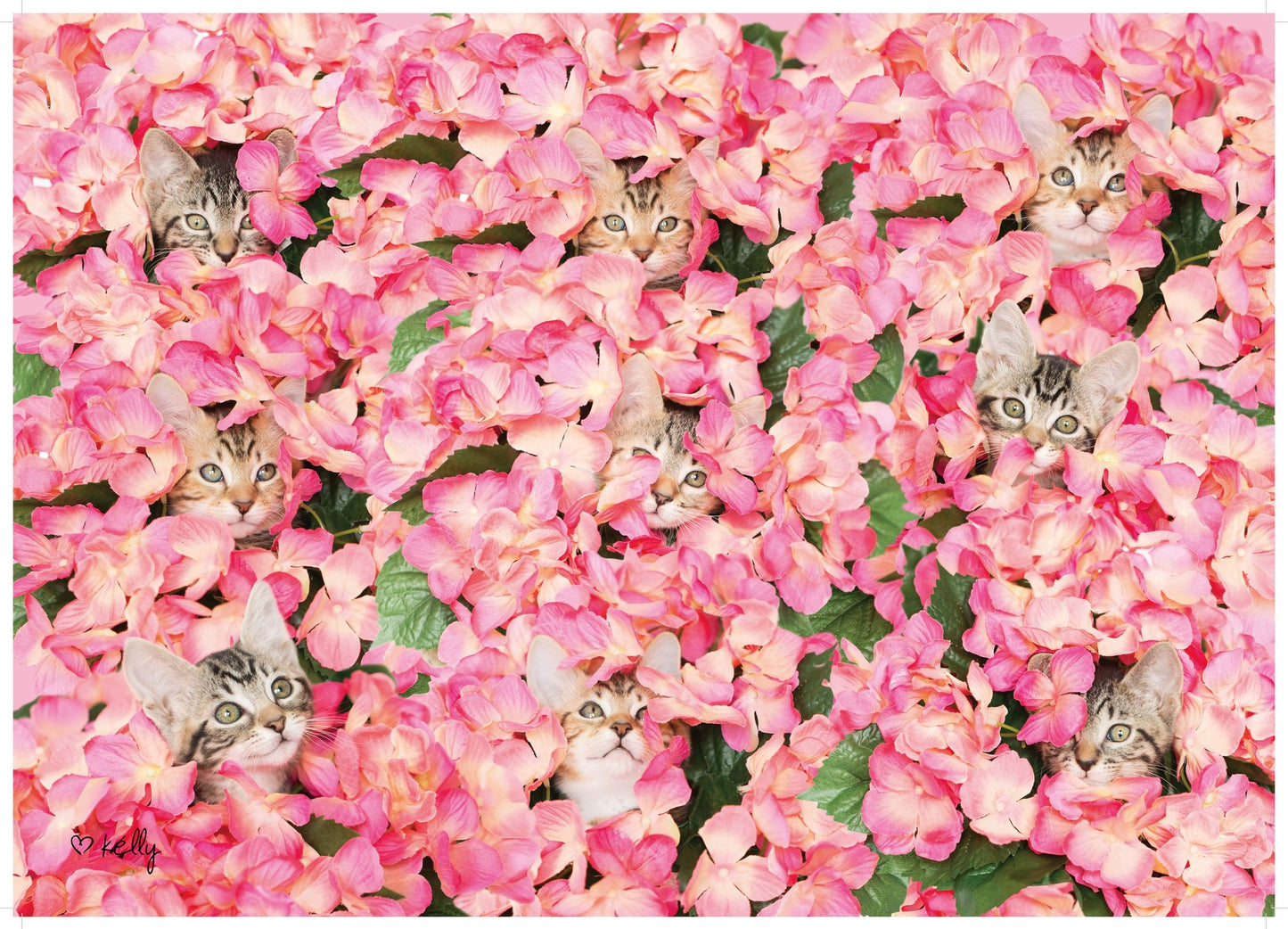 Kitten 1000 pc. puzzle Challenge