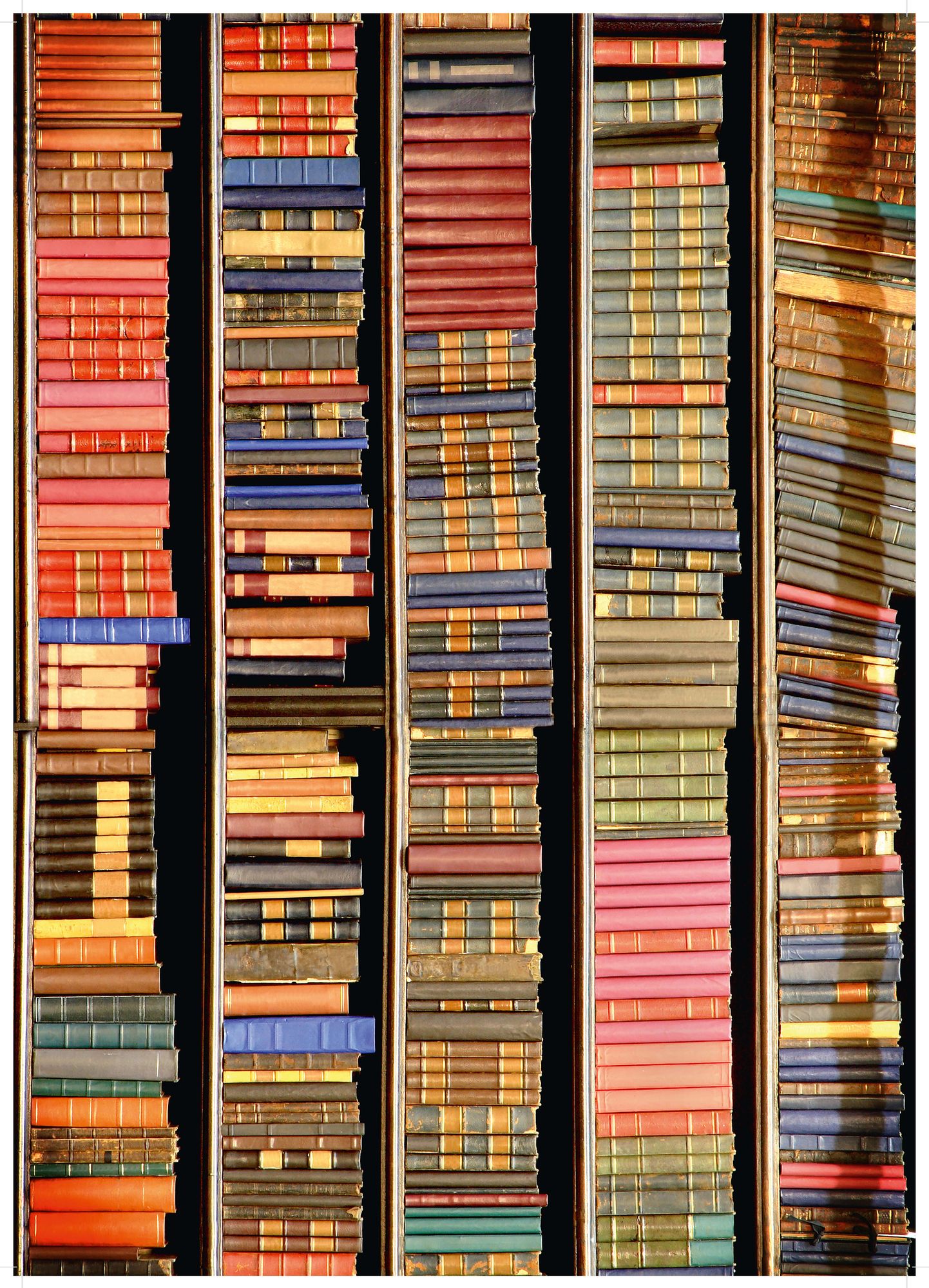 Book Shelf 1000 pc. puzzle Challenge