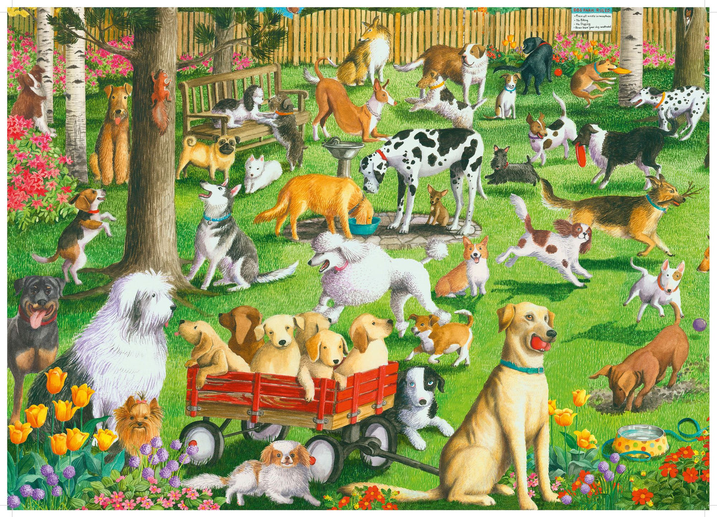 Dog park 1000 pc puzzle