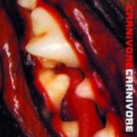 Carnivore