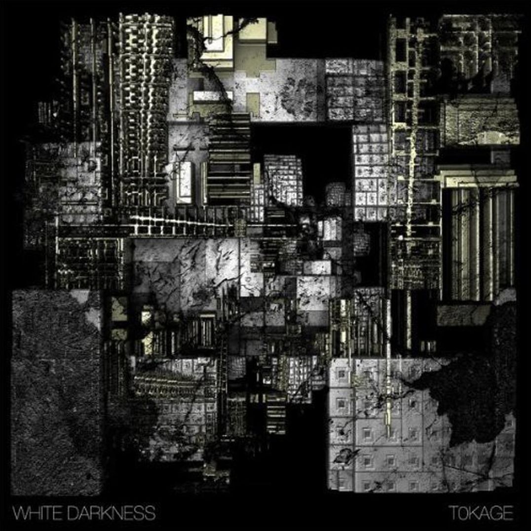 Tokage (White Darkness)