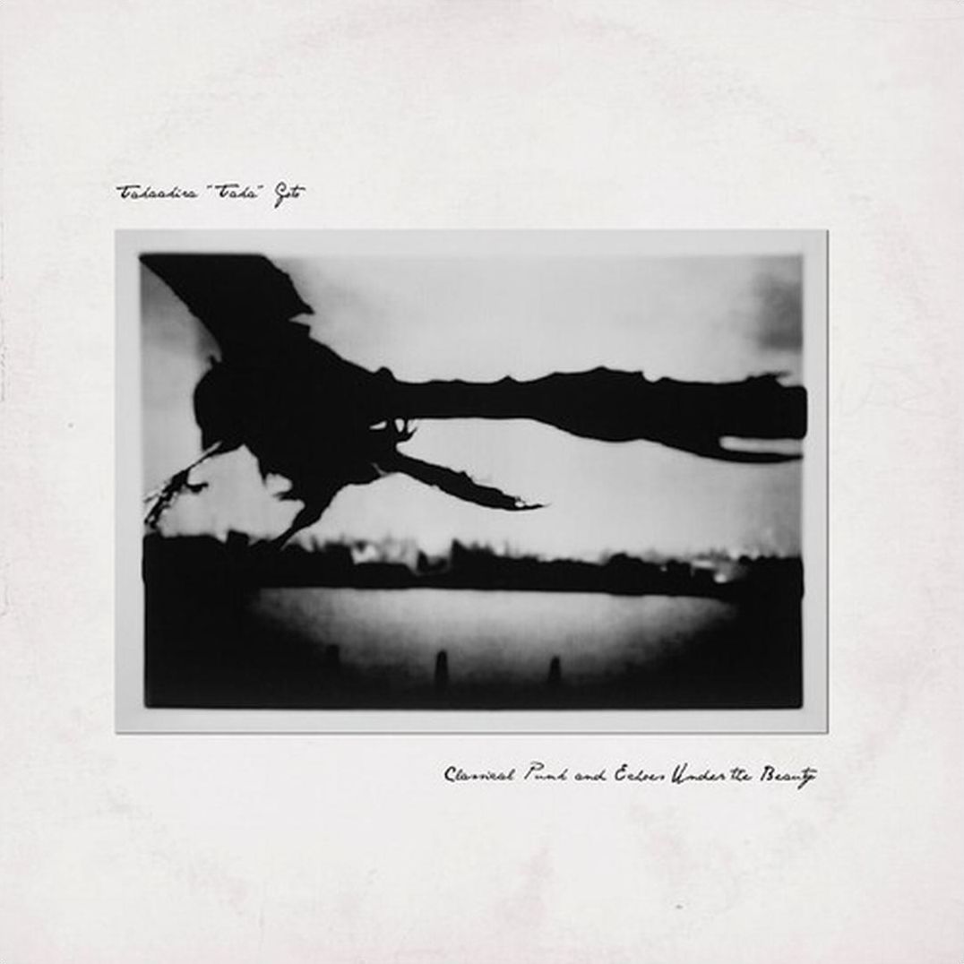 Classical Punk & Echoes Under Beauty