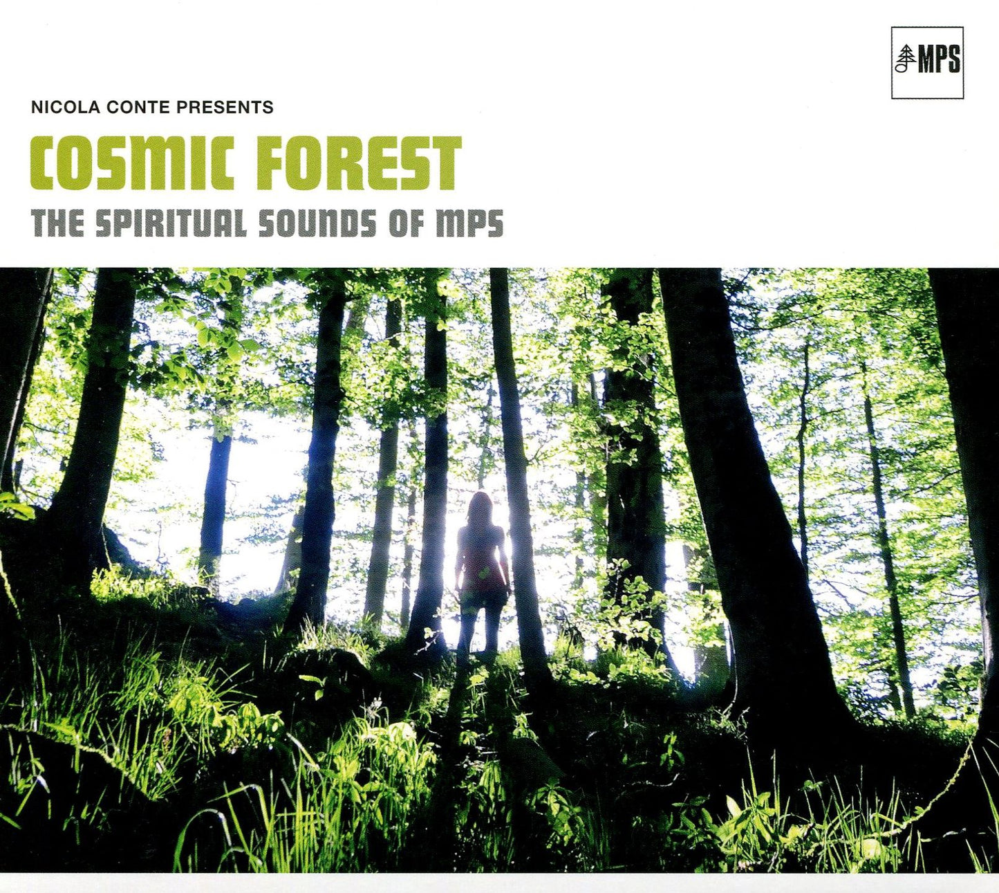 Cosmic Forest