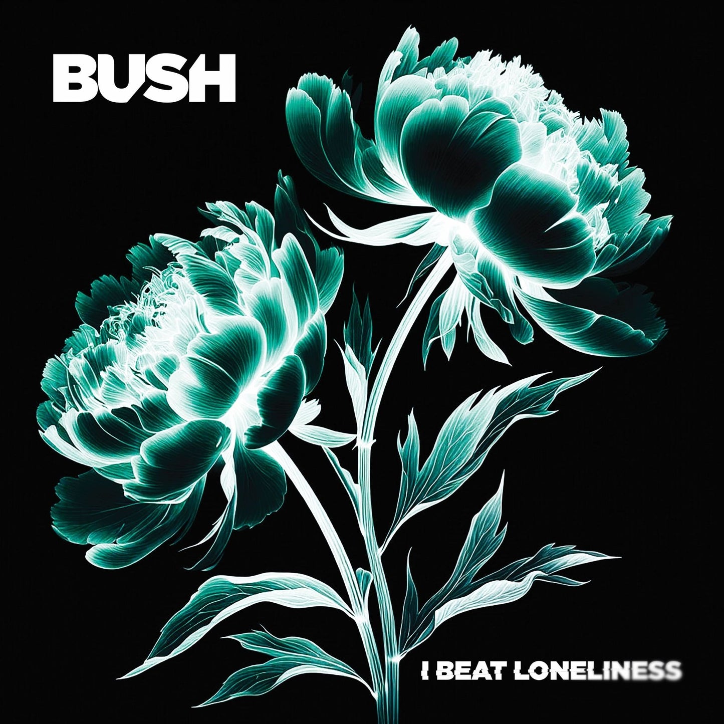 Beat Loneliness (Bush)