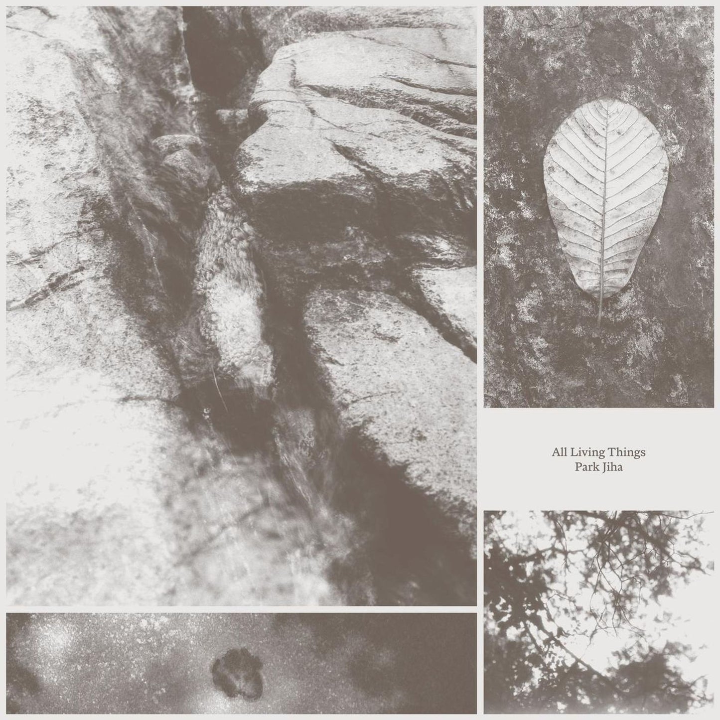 All Living Things (Park Jiha)
