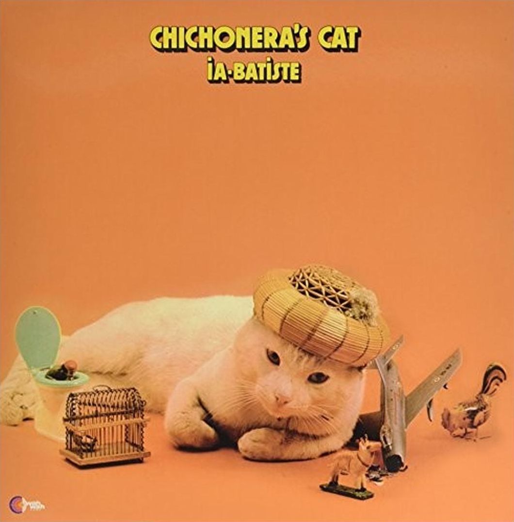 Chichonera's Cat
