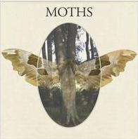 Moths