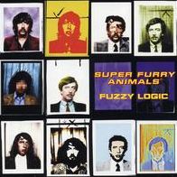 Fuzzy Logic: 20Th Anniversary Deluxe Edition [Lp]