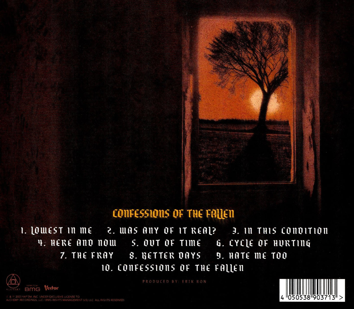 Confessions Of The Fallen