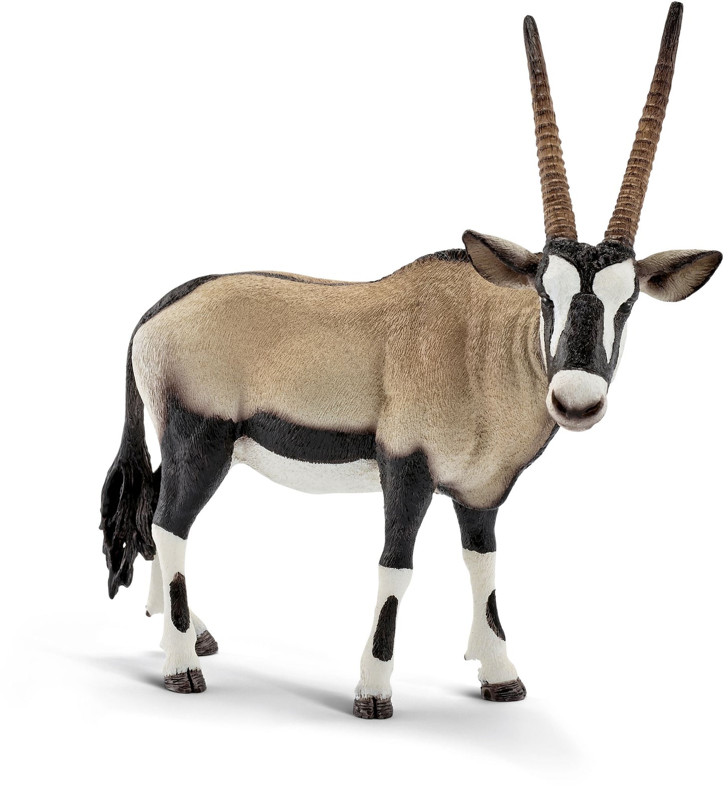 Oryx