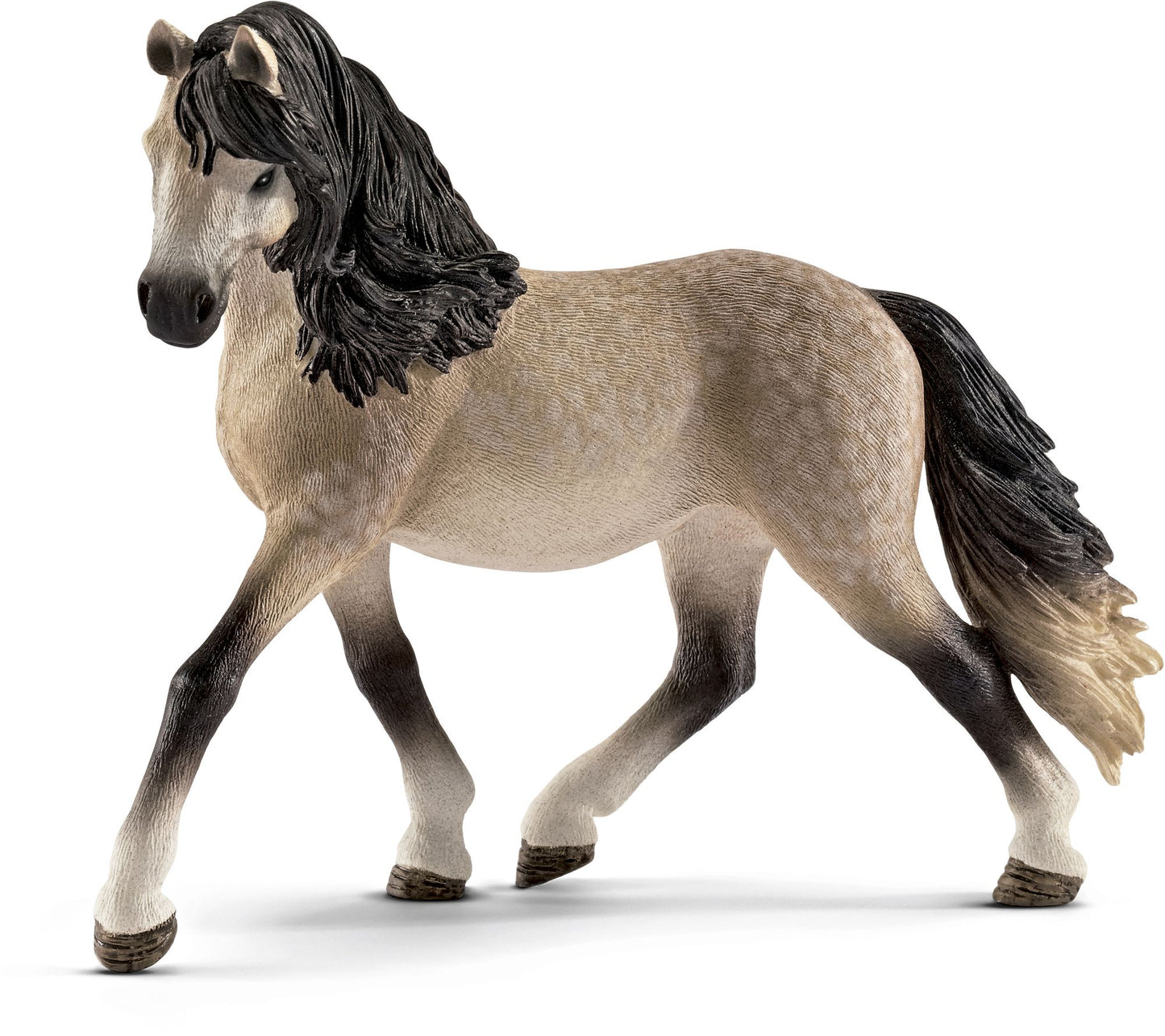 Andalusian Mare