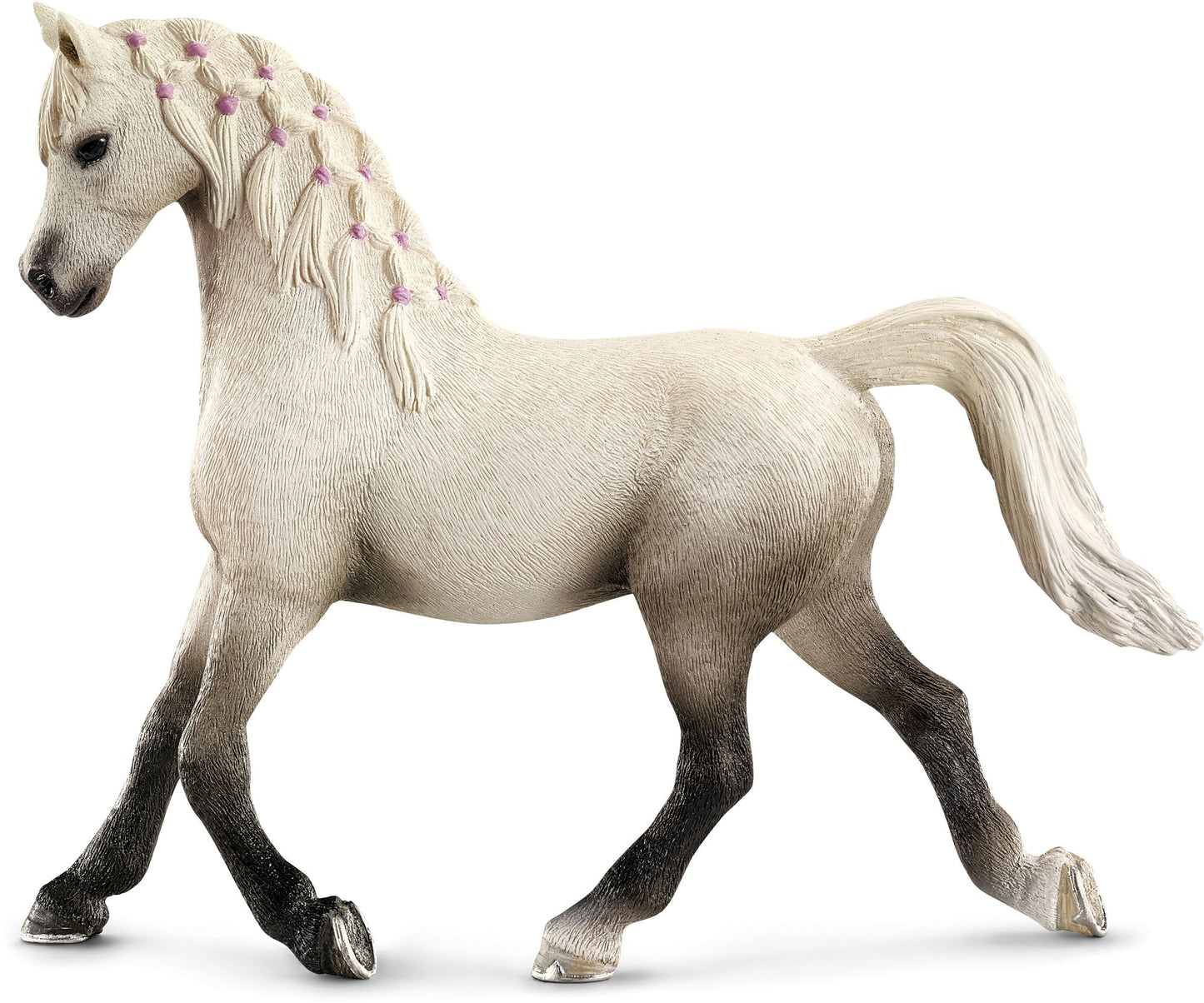 Arabian Mare