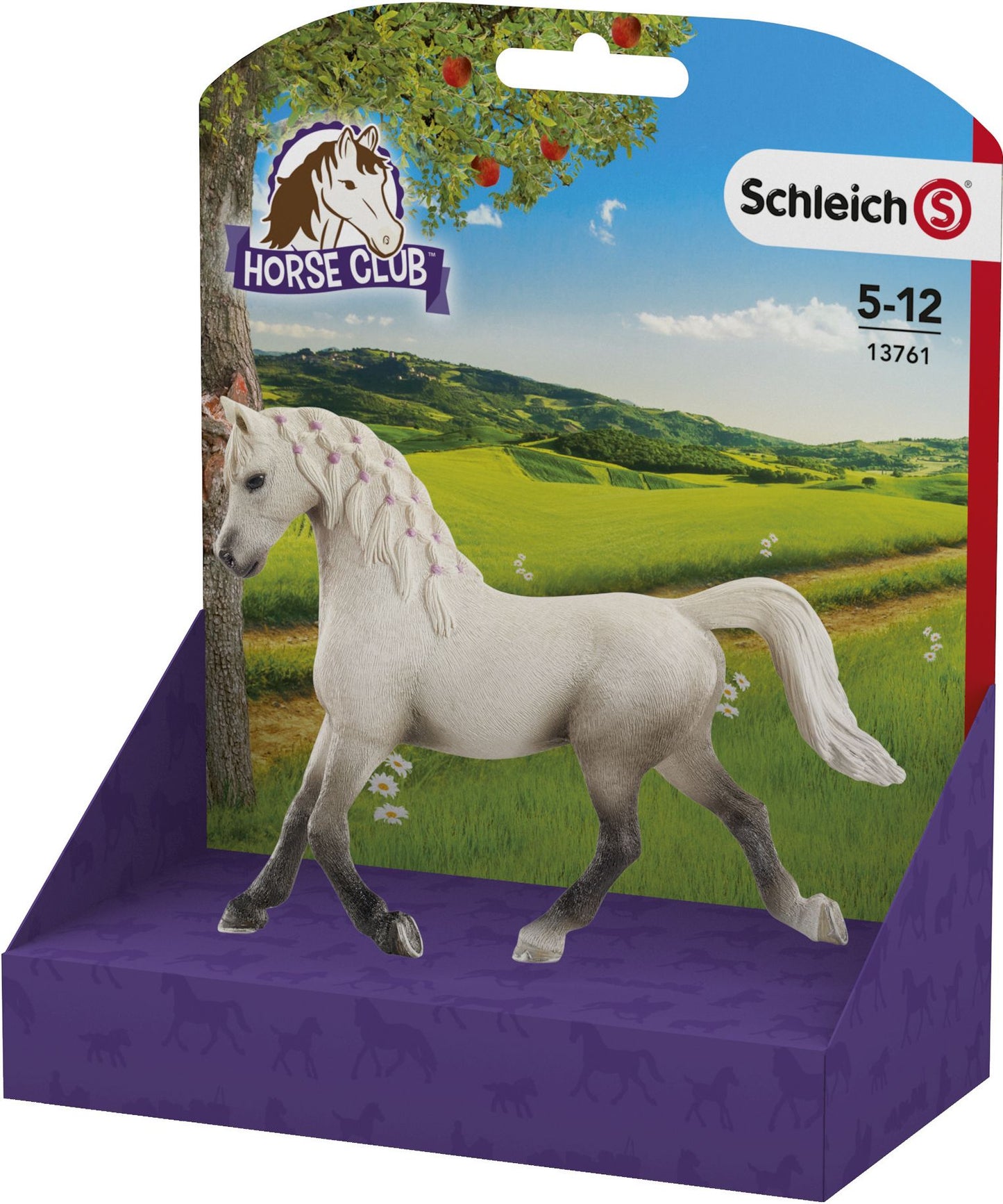 Arabian Mare