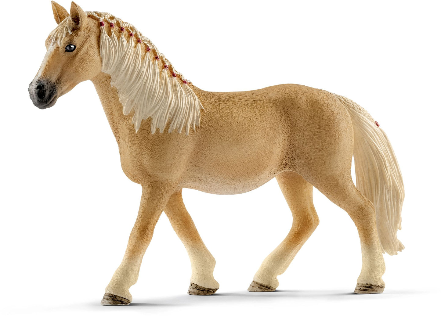 Haflinger Mare