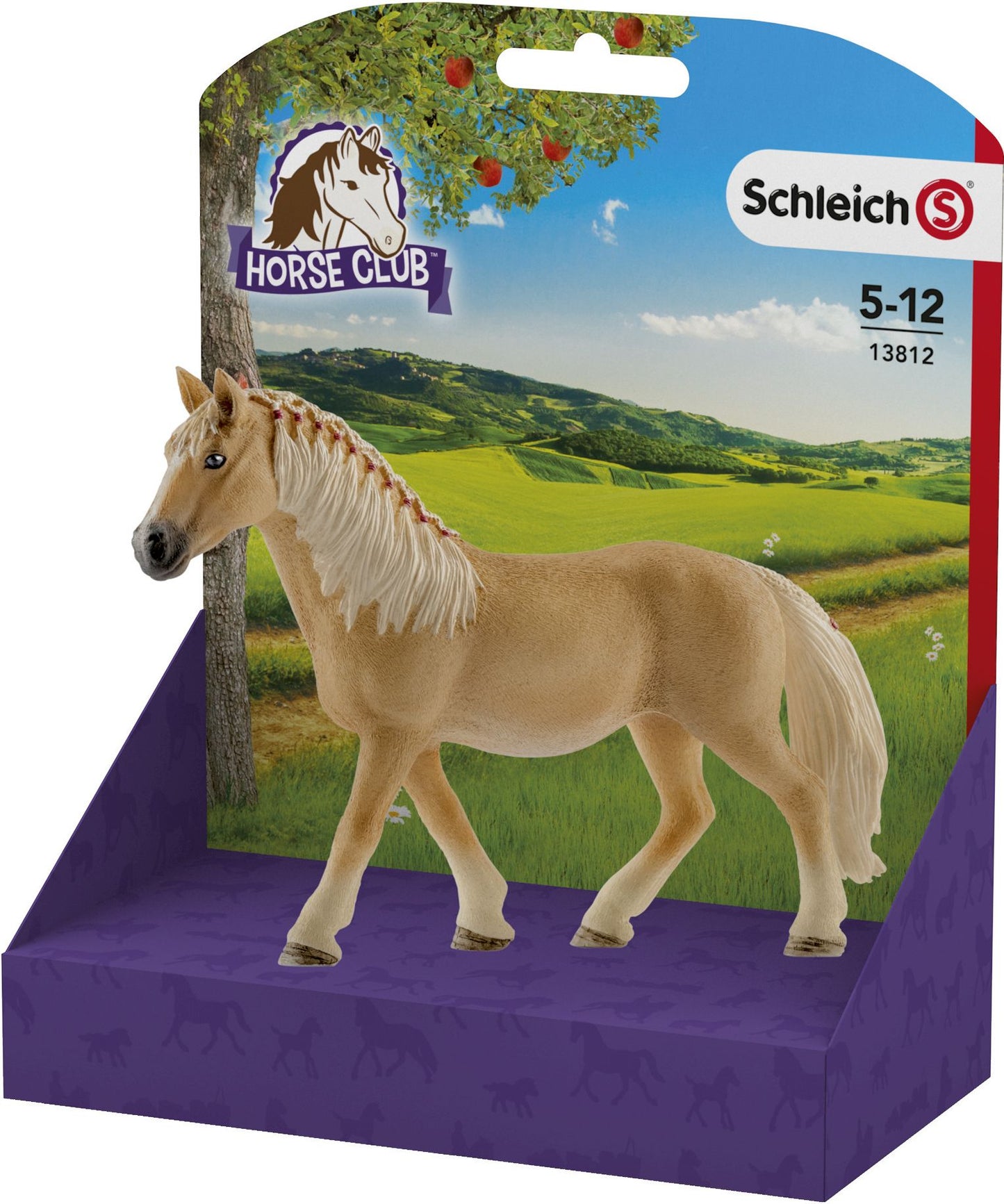 Haflinger Mare