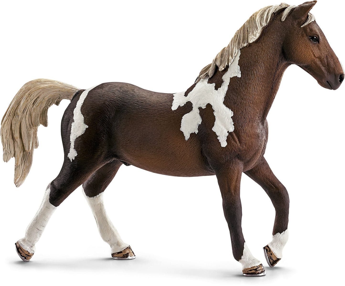 Trakehner Stallion