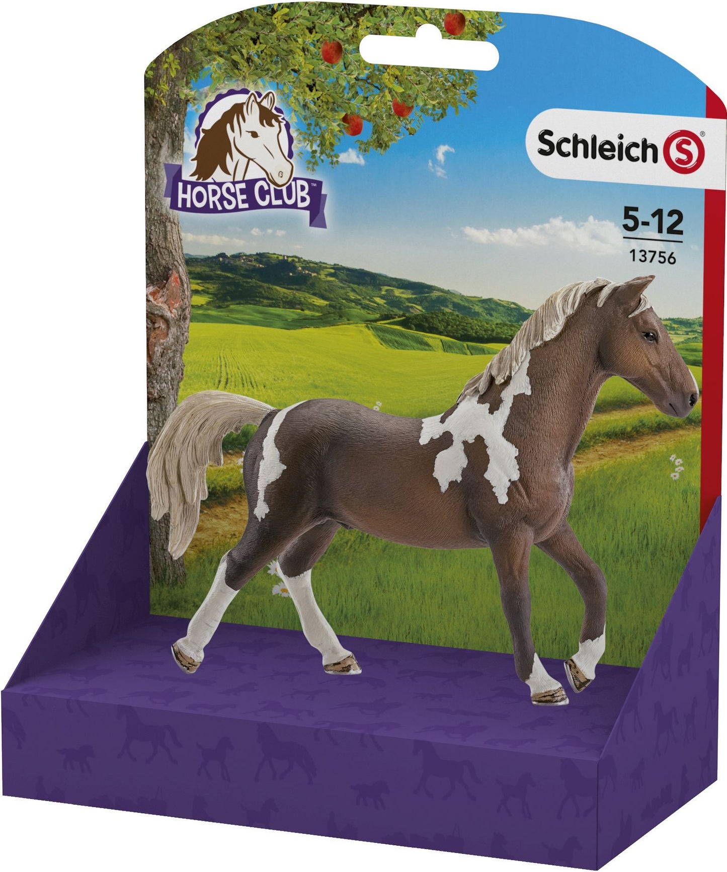 Trakehner Stallion