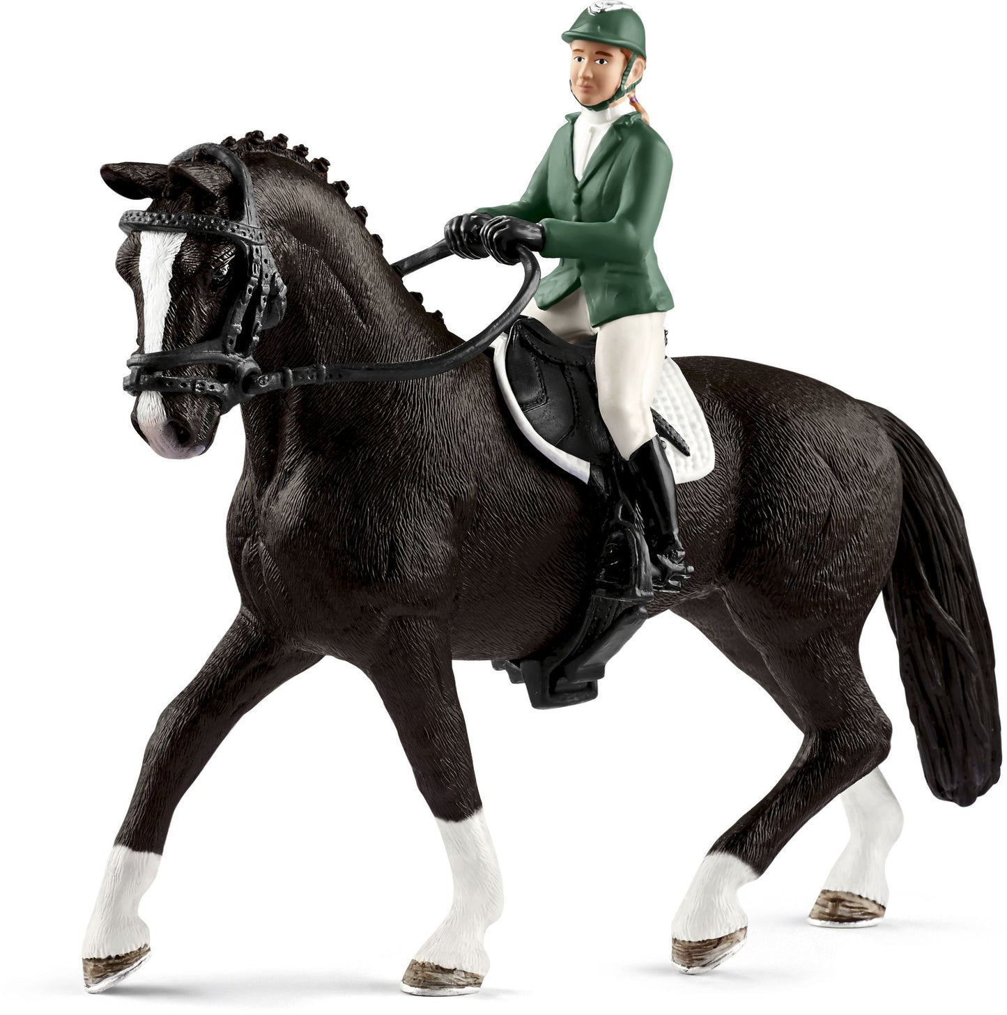 Showjumper with horse