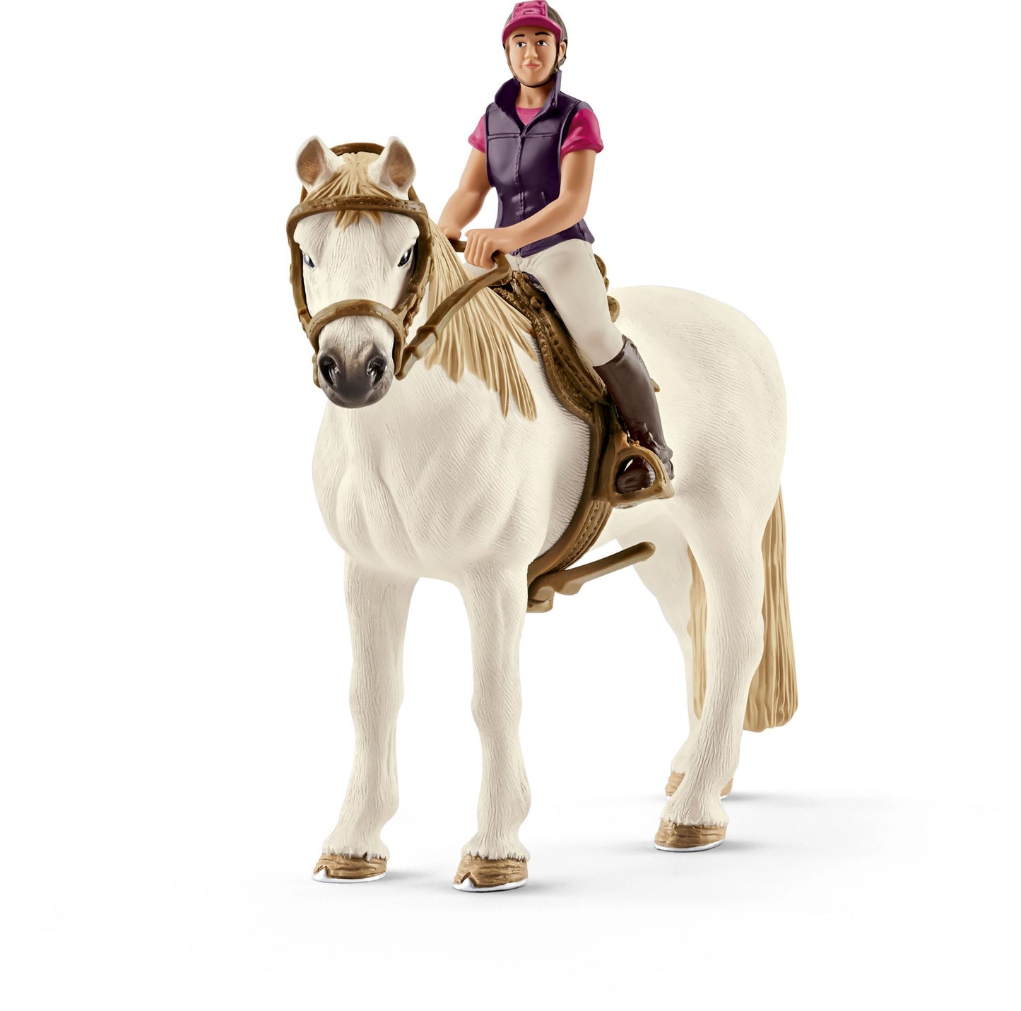 Recreational Rider