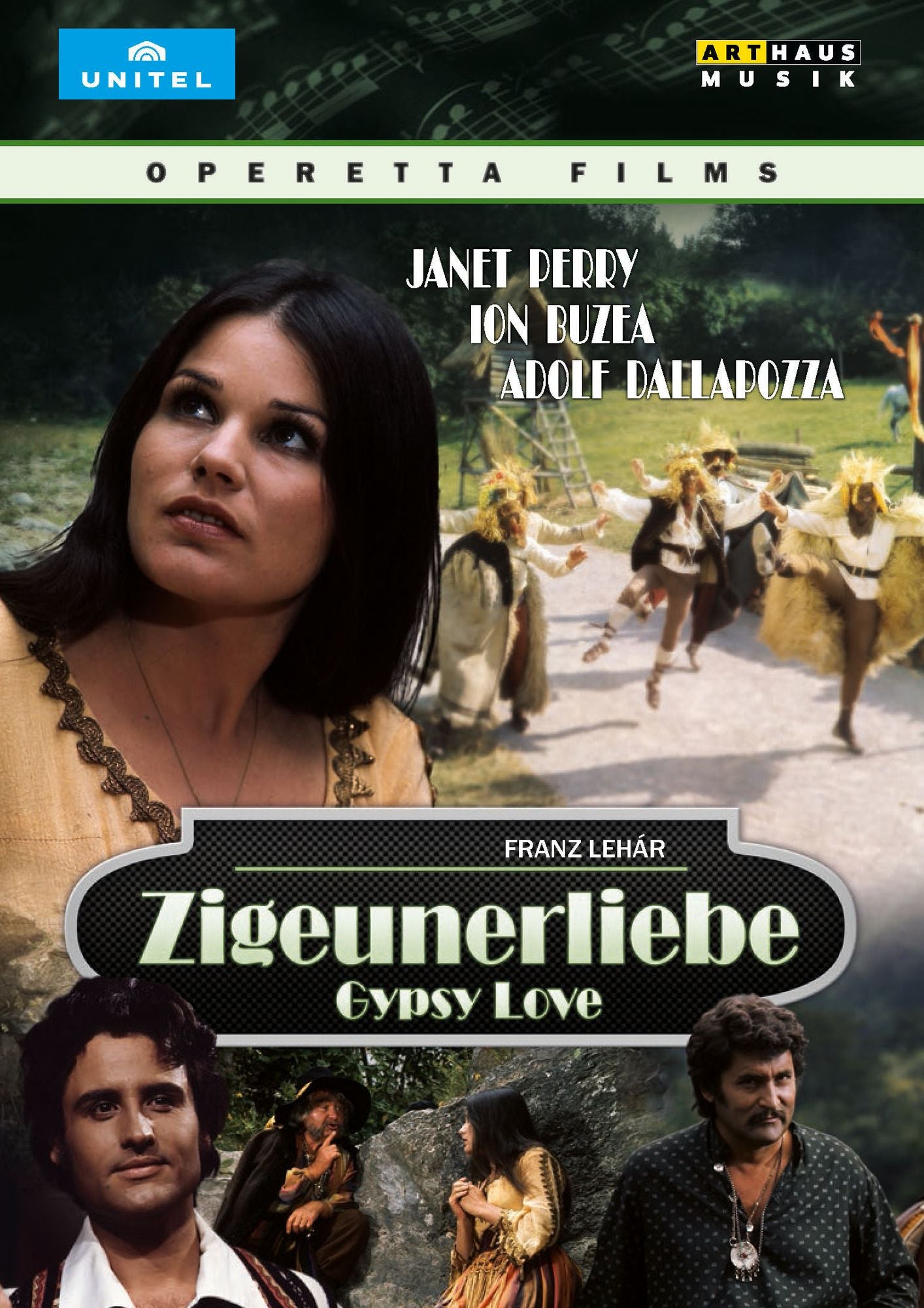 Die Zigeunerliebe