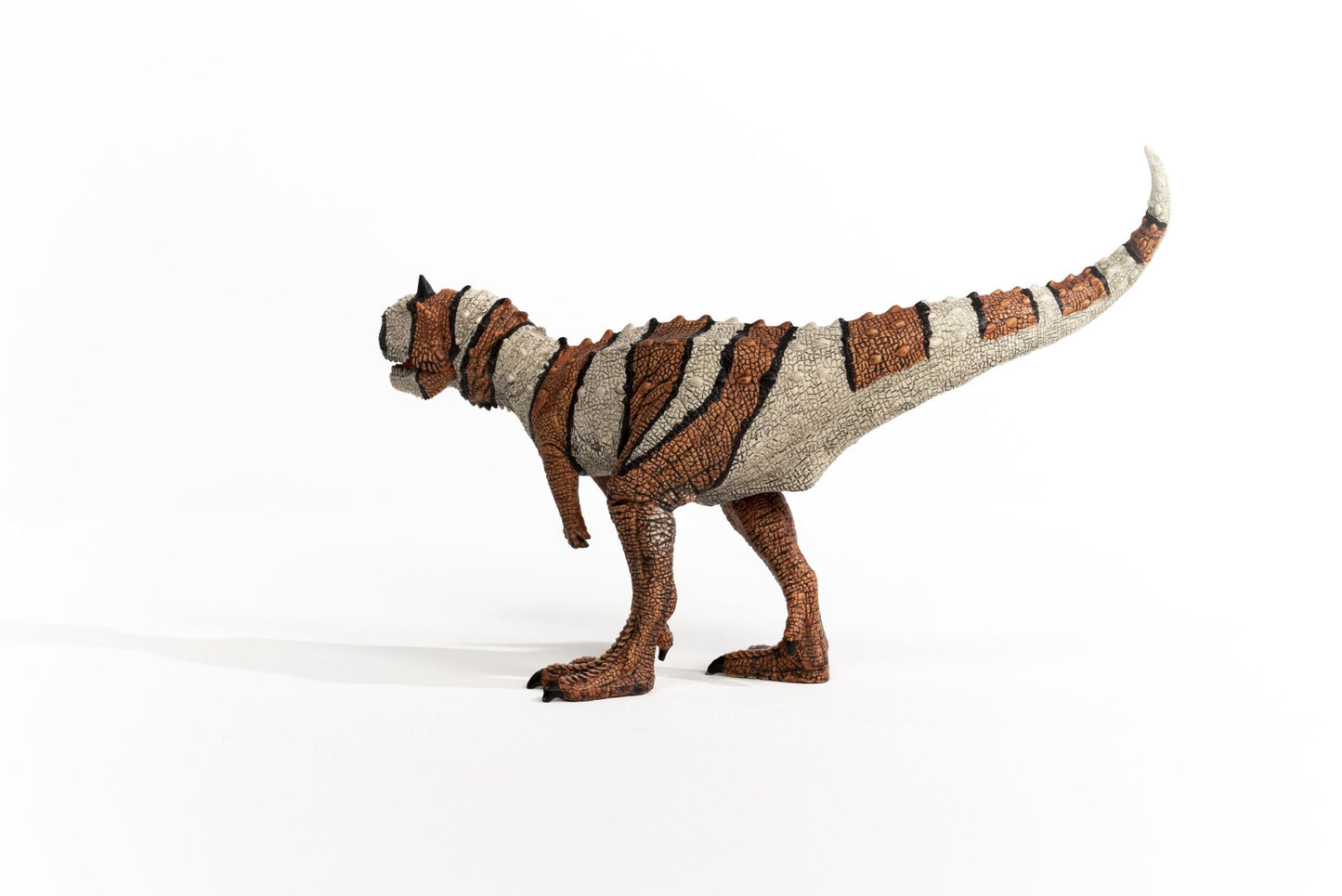 Majungasaurus