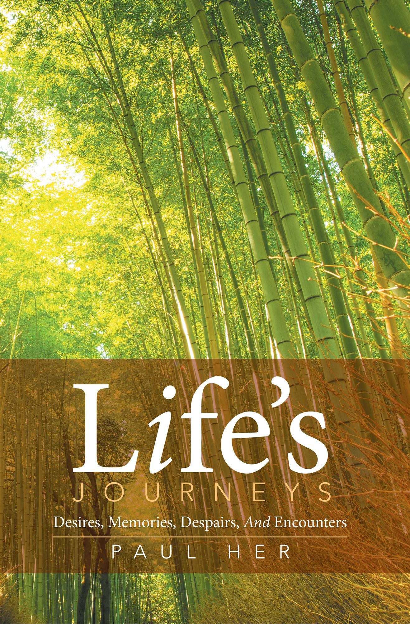 Life's Journeys: Desires, Memories, Despairs, And Encounters