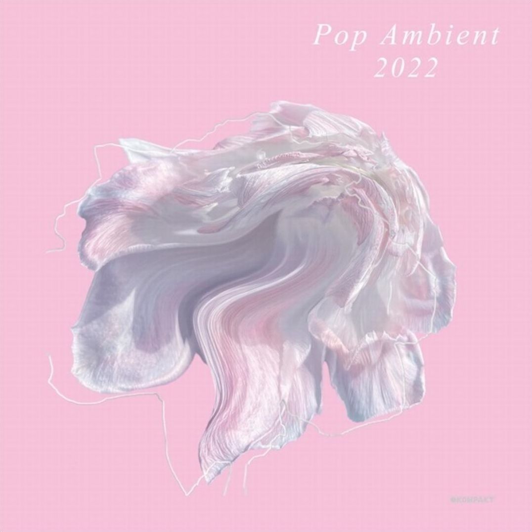 Pop Ambient 2022 / Various