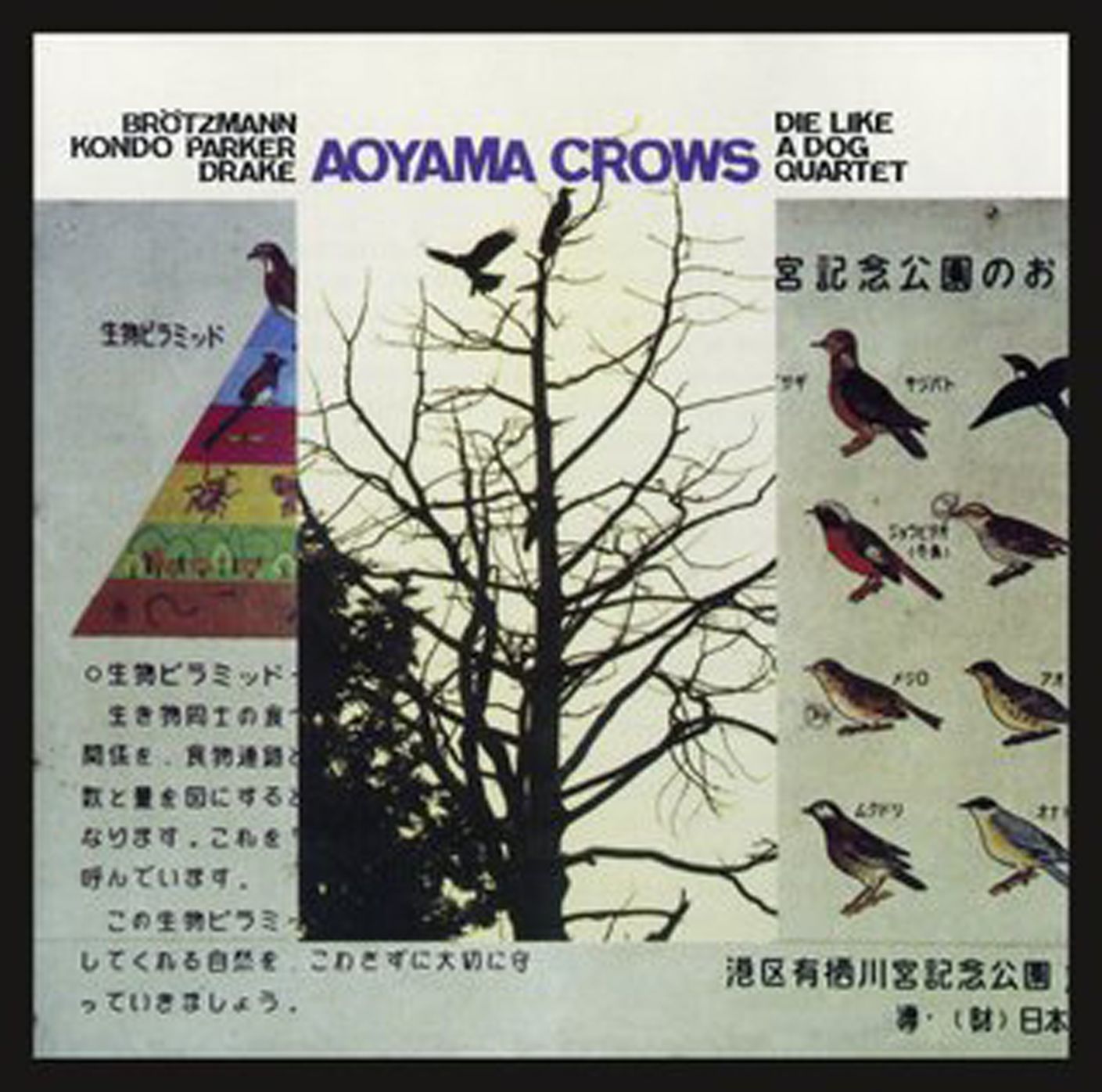 Aoyama Crows