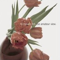 Amateur (Reissue) (To Rococo Rot)