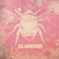 Solar Plexis (Slomind)