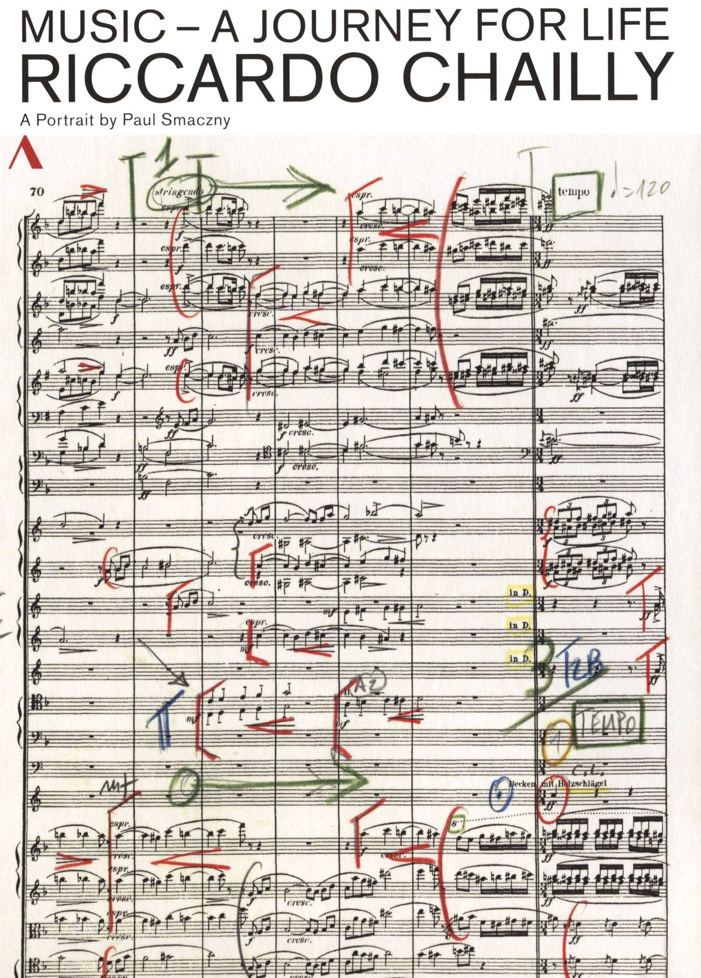 Music: A Journey For Life - Riccardo Chailly