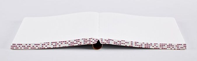 Megapixel Graphic L Notebk Red&Blue Silk Screen 6.5x8.5" 256 Dot Pgs