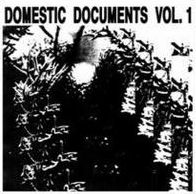 Domestic Documents, Vol. 1: Compiled By Butter Sessions And Noise In My Head