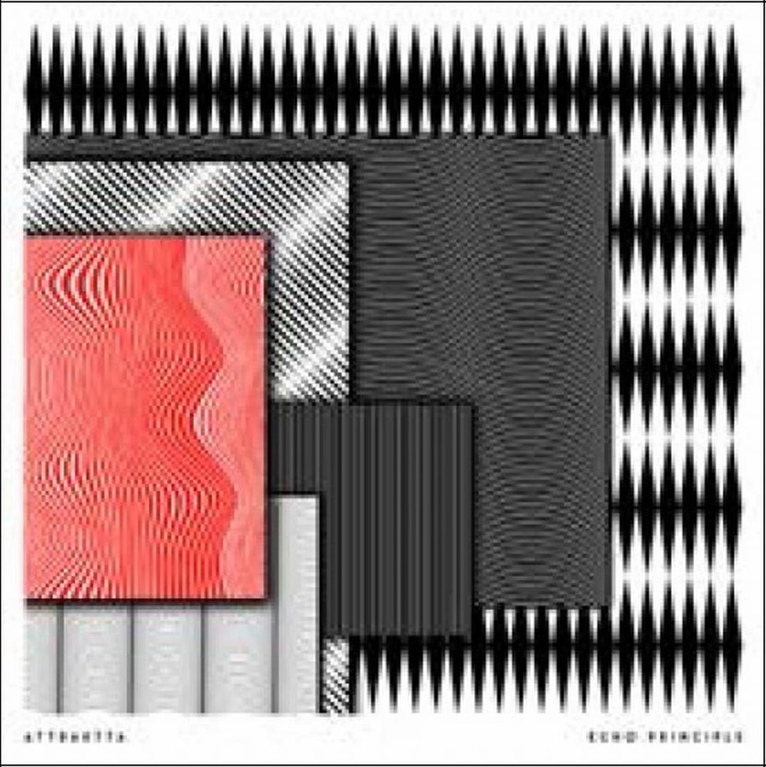 Echo Principle