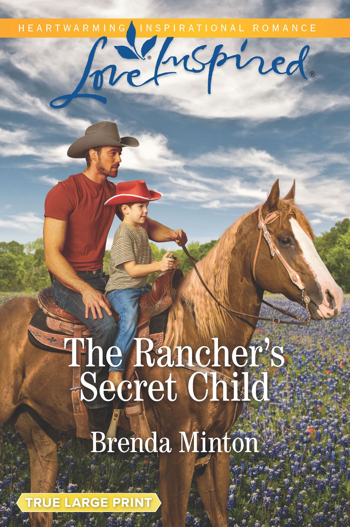 The Rancher's Secret Child