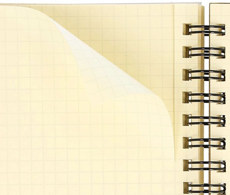Blush Pink Delfonics Rollbahn Spiral Notebook