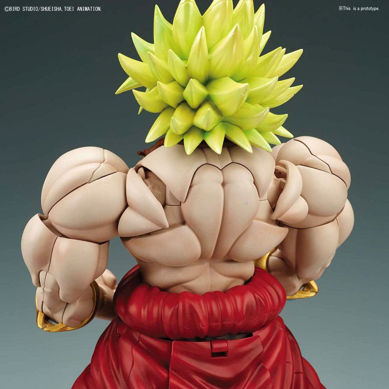 Legendary Super Saiyan Broly "DBZ" Bandai Figure-Rise Standard