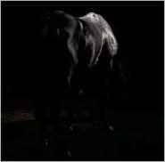 Nageki No Endless