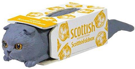 Scottish Fold Box Cat Collectible Figure Mystery Blind Box
