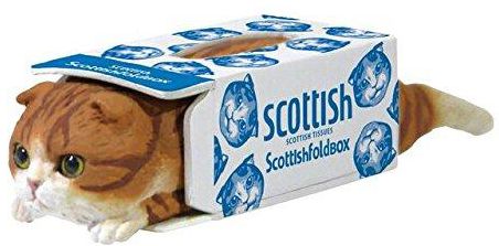 Scottish Fold Box Cat Collectible Figure Mystery Blind Box