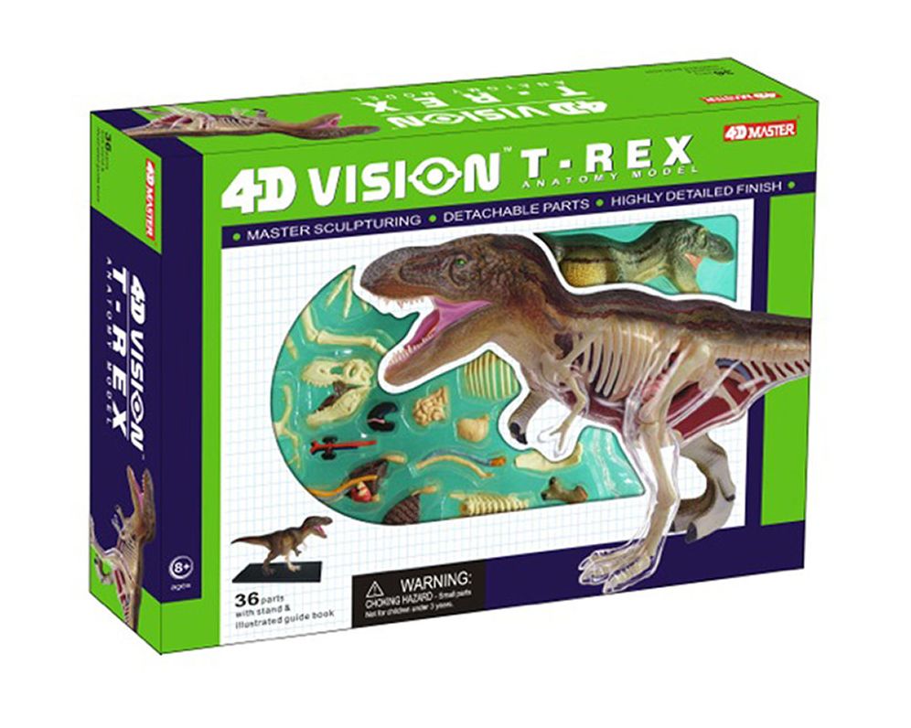 Tedco Toys 26092 4D Vision T-Rex Anatomy Model