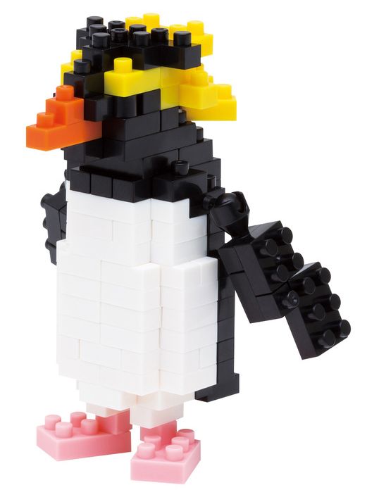 NB - ROCKHOPPER PENGUIN