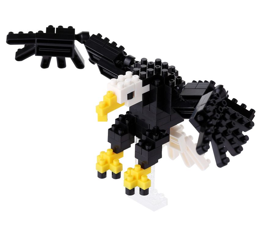 NB - BALD EAGLE
