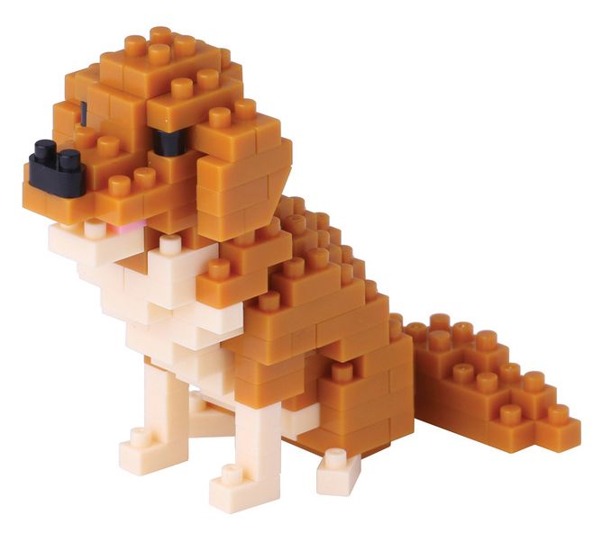 NB - GOLDEN RETRIEVER